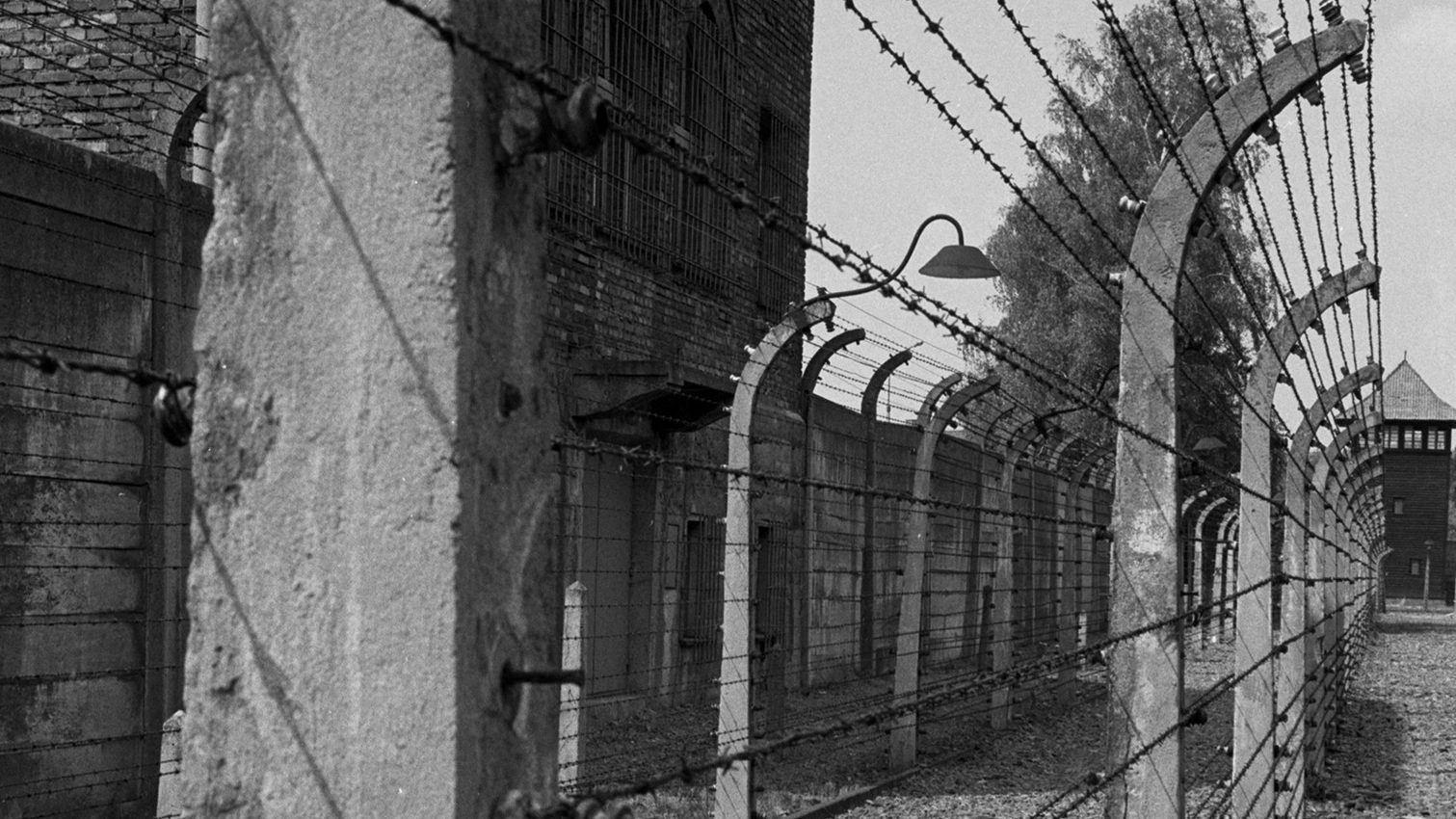 Auschwitz-barbed wire